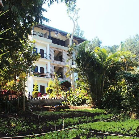 Coorg Jungle Camp Resort Suntikoppa 외부 사진