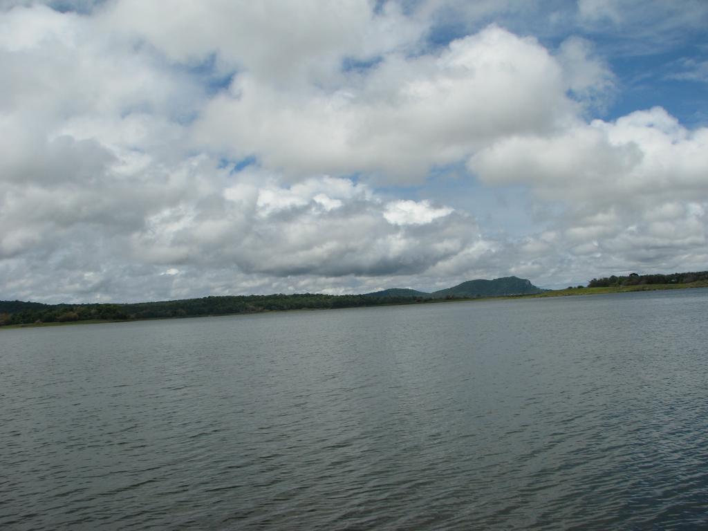 Coorg Jungle Camp Resort Suntikoppa 외부 사진