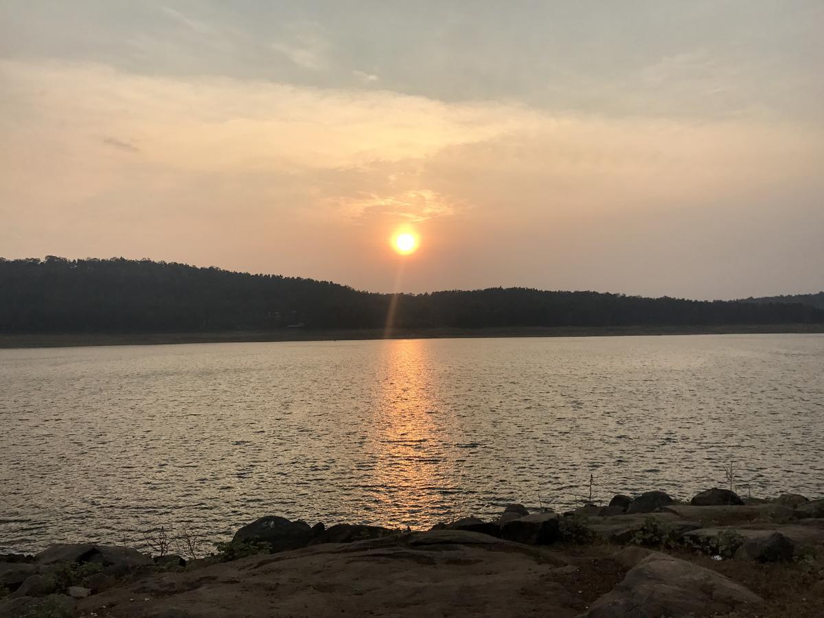 Coorg Jungle Camp Resort Suntikoppa 외부 사진